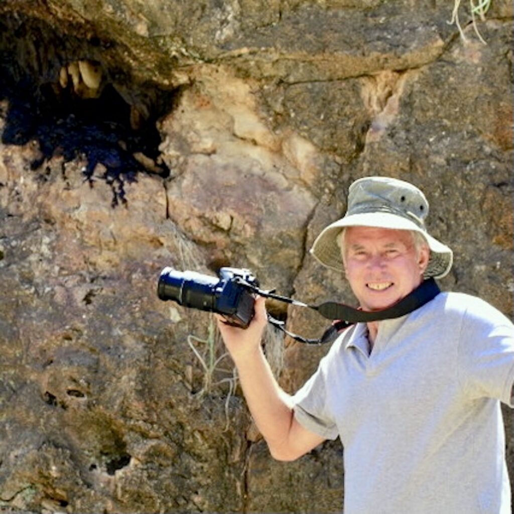 Geoff Tribe at a wild honeybee nest