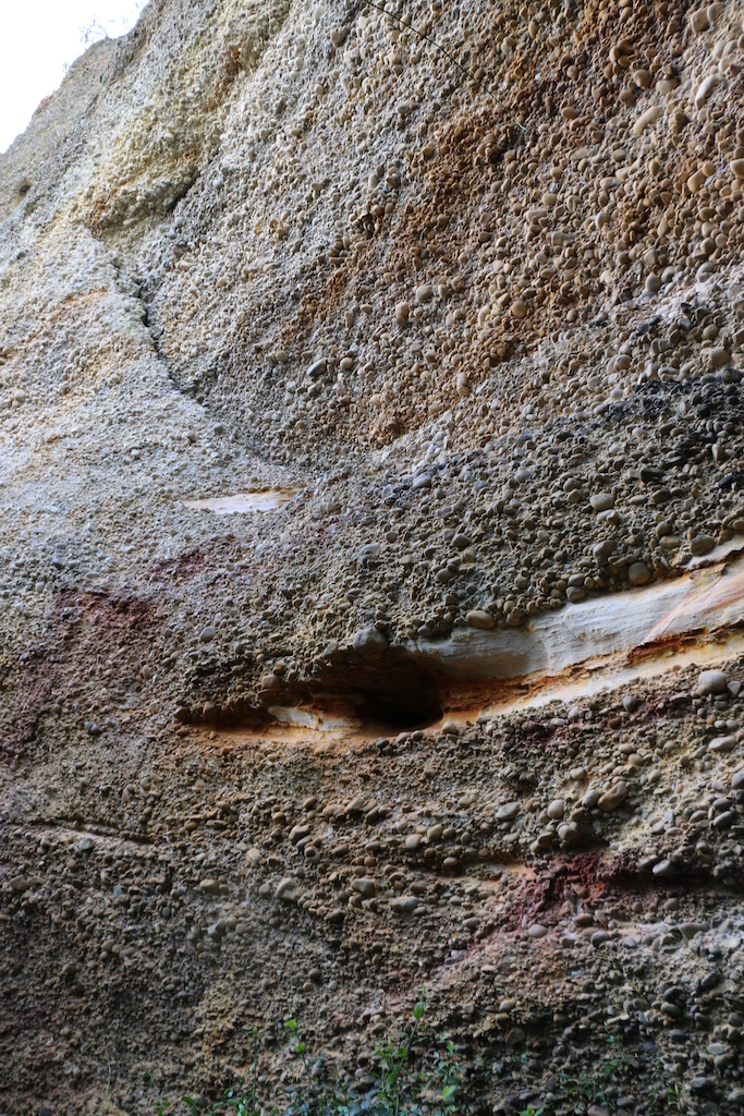 The horizontal yellow sandstone bands in which suitable cavities for honeybee nests were seen.