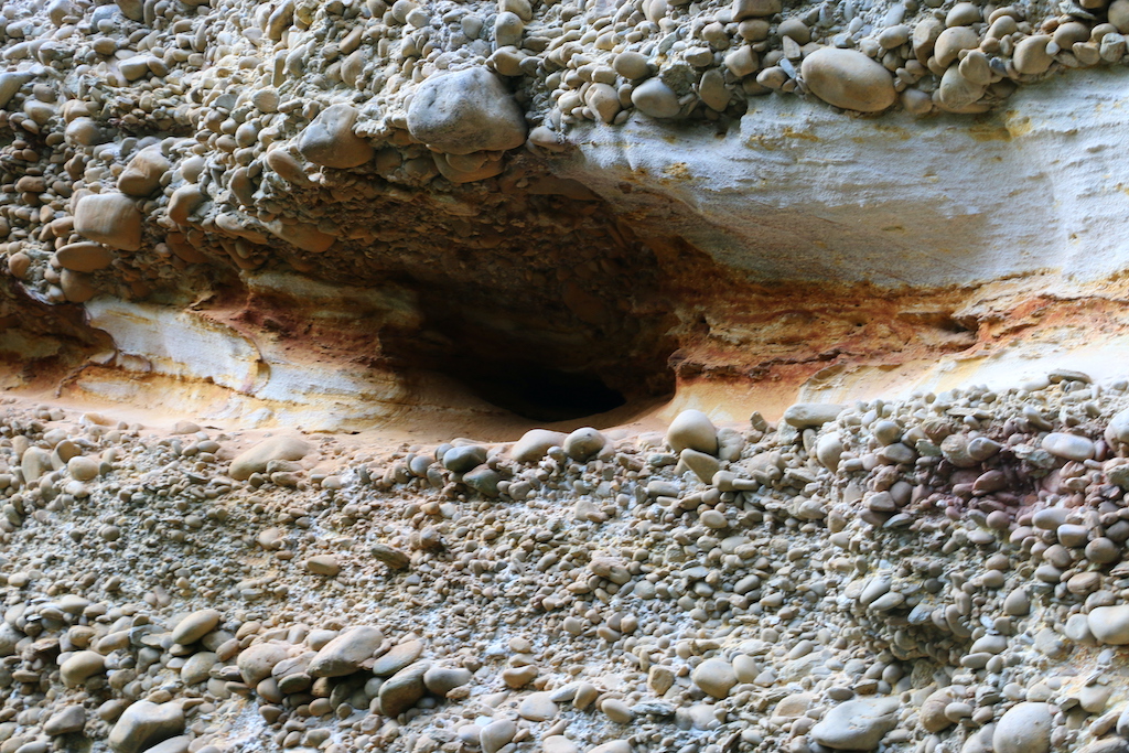 Cavities in the yellow sandstone bands that could have been home to wild honeybee colonies.