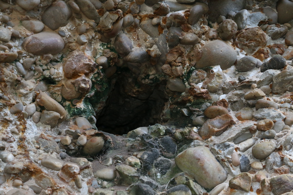 Dank, dark and wet cavities within the conglomerate that could have housed honeybee colonies in bygone years