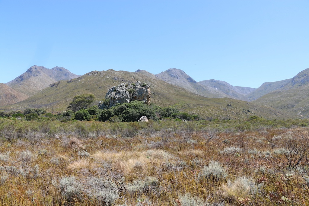 Heuningklip with its wild honeybee nests