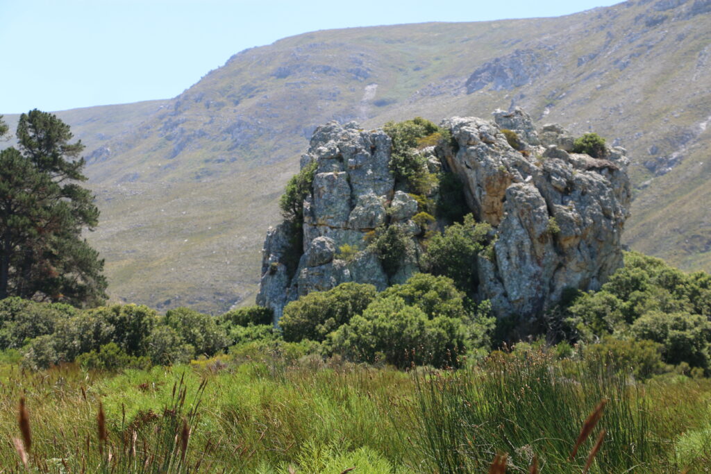 'Heuningklip' literally means 'honey rock' and often indicates a wild honeybee nest